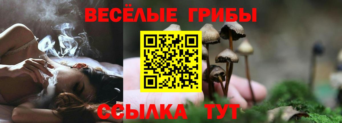Санкт-Петербург  Псилоцибиновые грибы Cubensis  Вход с VPN 